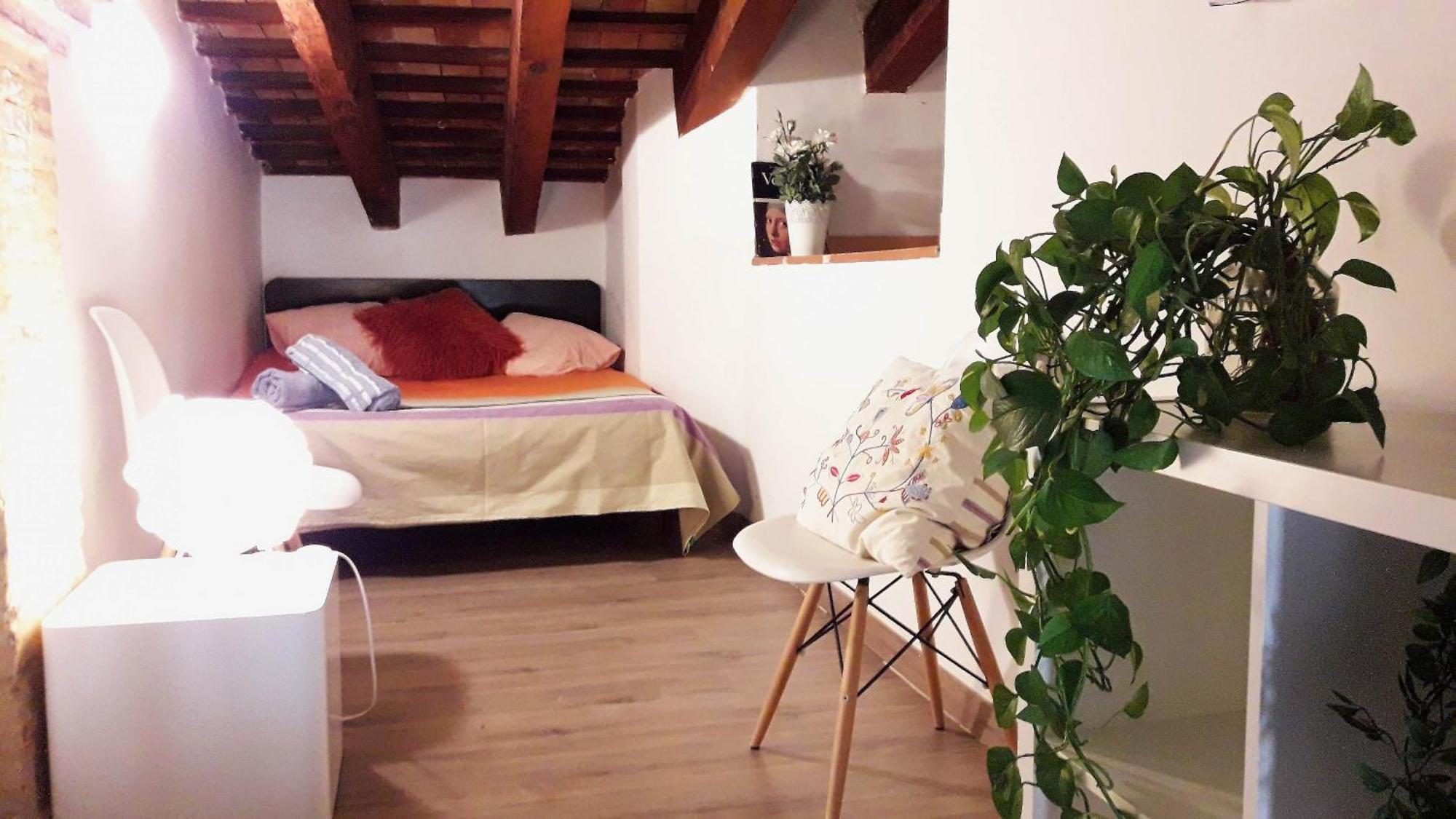 Bolseria Centricos Apartamentos En El Carmen Valencia Luaran gambar