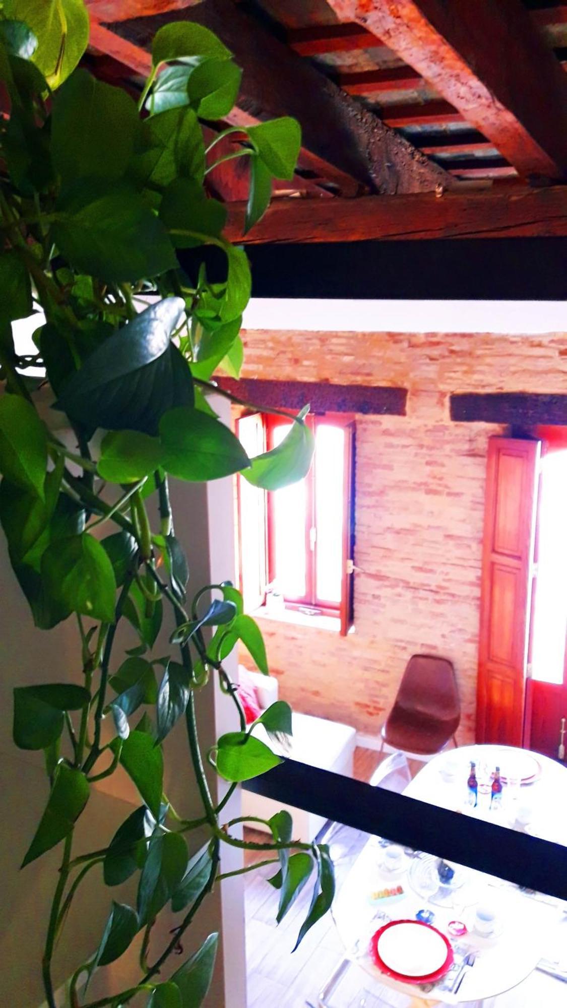 Bolseria Centricos Apartamentos En El Carmen Valencia Luaran gambar